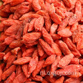 AD drogen rode goji bessen wolfberries fruit